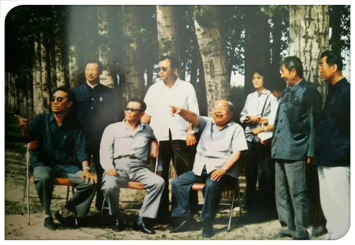 费孝通考察太平地乡林网建设